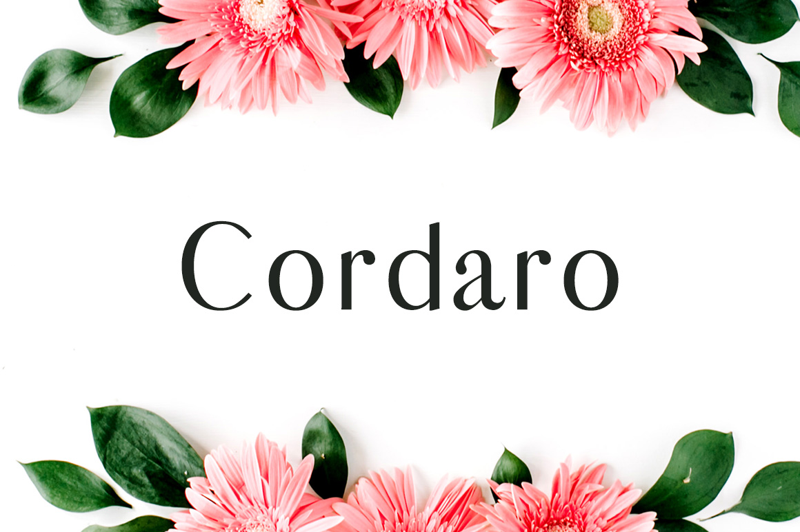 Cordaro: A Designer’s Honest Review for Real-World Branding