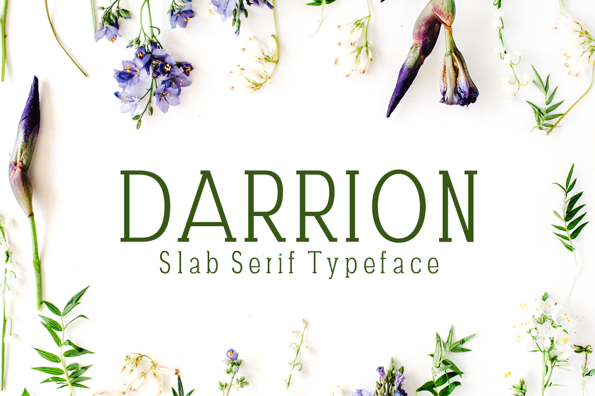 Darrion: A Slab Serif Typeface for Modern Digital Branding