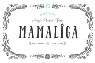Mamaliga: A Designer's Real-World Review of a Bold Serif
