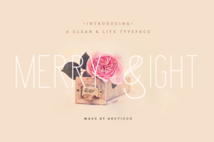 Merry Light: The Sans Serif Typeface for Clearer Campaigns
