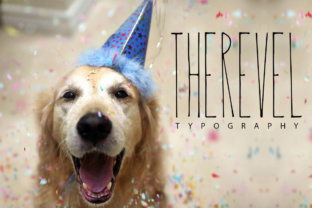 Therevel: A Designer's Real-World Review for Modern Branding
